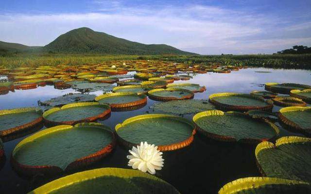 探索中国：旅游风景区名录中的必游之地